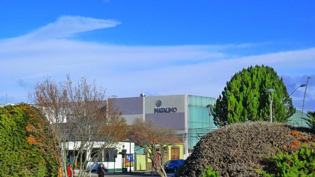 Natalino Hotel photo