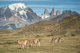 Torres del Paine and Milodon Cave photo 4