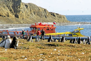 Magdalena and Marta Islands Boat Excursion photo 2