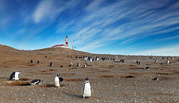 Punta Arenas photo 2