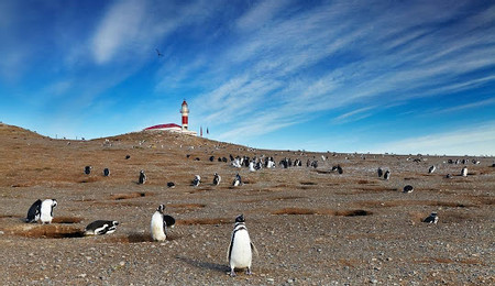 Punta Arenas photo 2