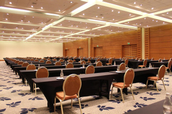 Sheraton Miramar Hotel & Convention Center photo 5