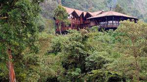 Chicaque Cloud Forest Tour Photo