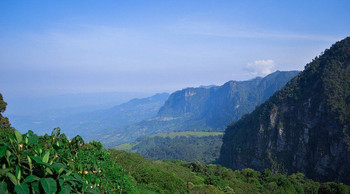 Chicaque Cloud Forest Tour photo 4
