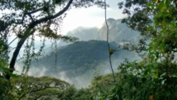 Chicaque Cloud Forest Tour photo 5