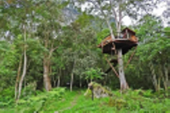 Chicaque Cloud Forest Tour photo 2