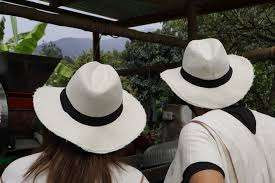 Coffee Farm Full-Day Tour from Bogotá photo 4