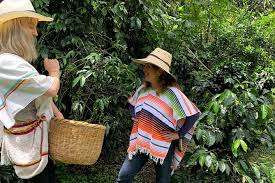 Coffee Farm Full-Day Tour from Bogotá photo 2