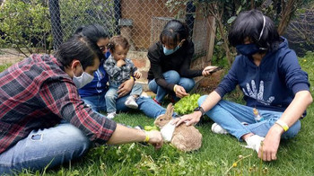 Mako Family Farm Adventure in Tenjo photo 3