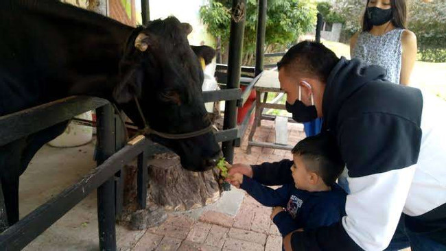 Mako Family Farm Adventure in Tenjo photo