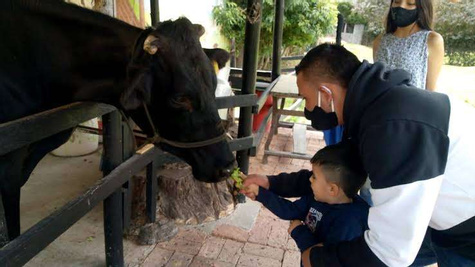 Mako Family Farm Adventure in Tenjo