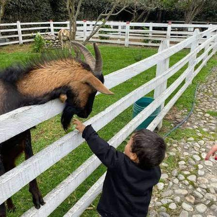 Mako Family Farm Adventure in Tenjo photo 2