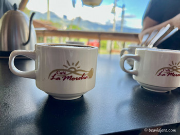 Coffee tasting experience photo 2