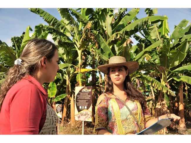 Coffee tasting experience photo