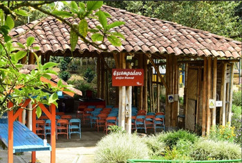Coffee Cultural Tour at Recuca Coffee Farm from Pereira photo 2