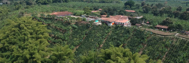 Coffee Cultural Tour at Recuca Coffee Farm from Pereira photo