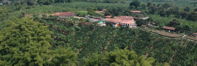 Coffee Cultural Tour at Recuca Coffee Farm from Pereira photo