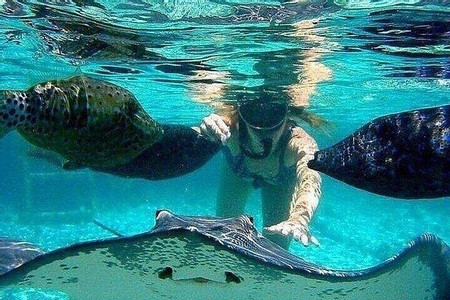 Johnny Cay Acuario Haynes Cay photo 2