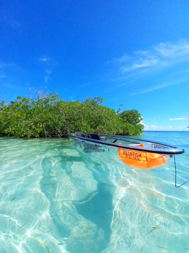 Kayak Transparent Tour at Old Point