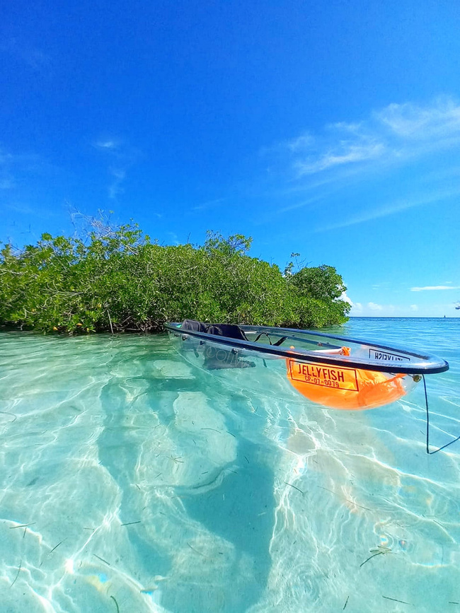 Kayak Transparent Tour at Old Point Photo