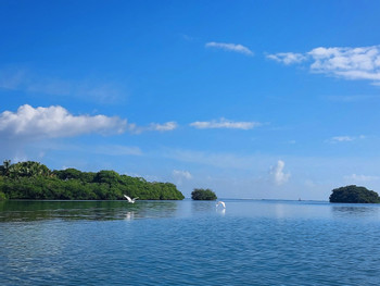 Kayak Transparent Tour at Old Point photo 3