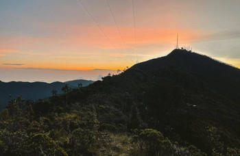 Tayrona and the Sierra Nevada: Birds and Sea photo 2