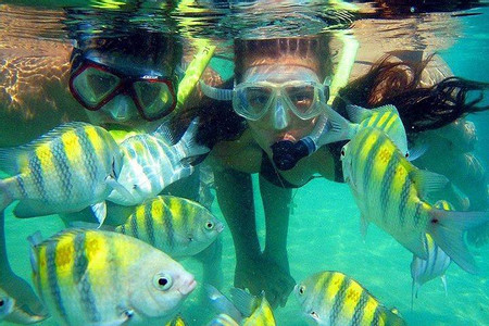 Tayrona Snorkeling Tour photo 3