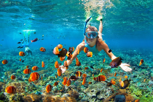 Tayrona Snorkeling Tour photo