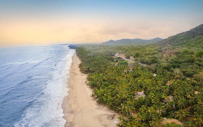 Tour  Palomino Photo