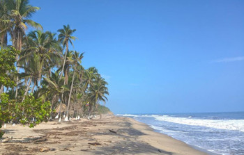 Tour  Palomino photo 5