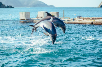 Tour a Playa Blanca photo 4