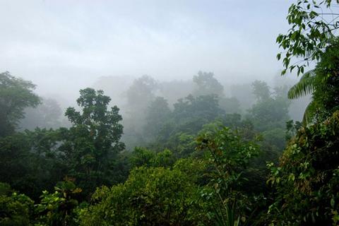 Parque Nacional Piedras Blancas Costa Rica