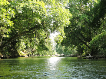 2 in 1 Safari Float and Sloth Territory photo 2