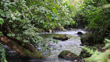 2 in 1 Volcano Hike and Choyin Thermal River photo 5