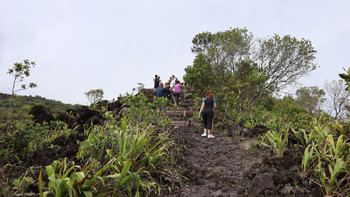 2 in 1 Volcano Hike and Sloth Territory photo 4