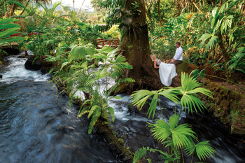 3 in 1 La Fortuna Waterfall, Volcano Hike and Tabacon Hot Springs photo 3