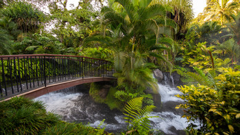 3 in 1 La Fortuna Waterfall, Volcano Hike and Tabacon Hot Springs photo 2