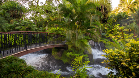3 in 1 La Fortuna Waterfall, Volcano Hike and Tabacon Hot Springs photo 2