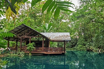 4 in 1 Tour - Safari Float, La Fortuna Waterfall, Chocolate Tour and Eco Termales photo 3