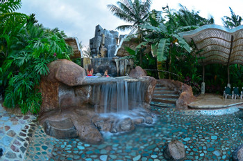 Baldi Hot Springs plus Dinner photo 4