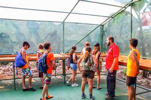 Private Tour - Don Juan Coffee and Chocolate Tour Arenal photo 5