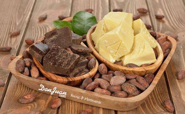 Don Juan Tours Arenal Night Walk and Chocolate Tour - Regular Tour photo