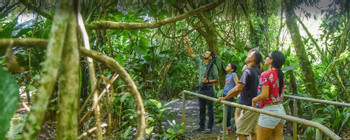 EcoGarden Combo Sloth Tour and La Fortuna Waterfall photo 5