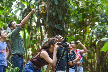 EcoGarden Sloth Tour photo 2
