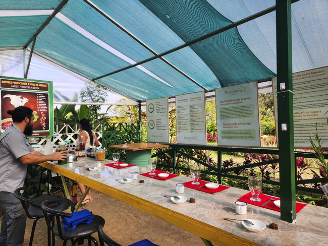 Honey Bee Garden and Passion Fruit Plantation Photo