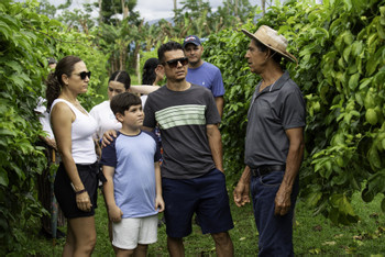 Honey Bee Garden and Passion Fruit Plantation photo 3
