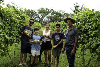 Honey Bee Garden and Passion Fruit Plantation photo 5