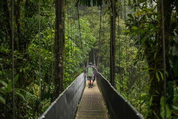 Mistico Hanging Bridges Private Guided Tour  photo 4