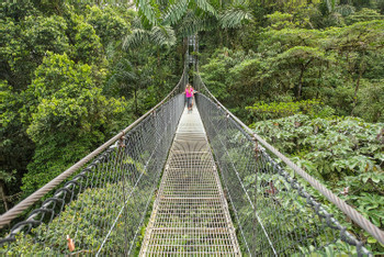 Mistico Hanging Bridges Selfguided Walk photo 4
