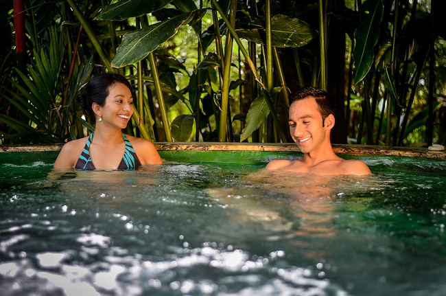 Paradise Hot Springs plus dinner photo